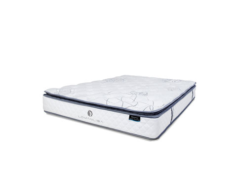 CLOUD POCKETSPRING